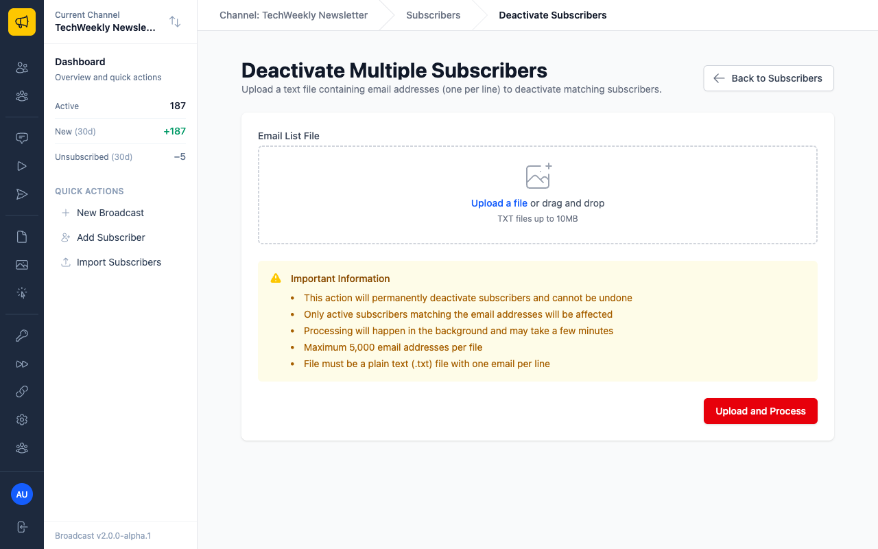 Mass deactivation upload interface showing file requirements and upload area